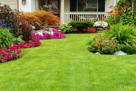 Your Dream Garden